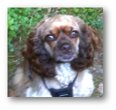 Sam